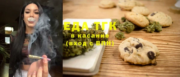 индика Слюдянка