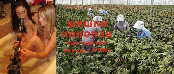 сатива Балабаново