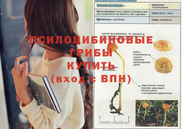 сатива Балабаново