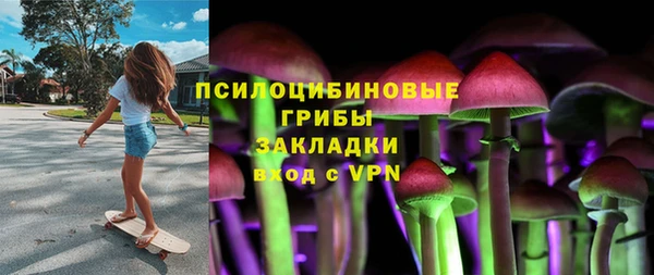 соль ск Балахна