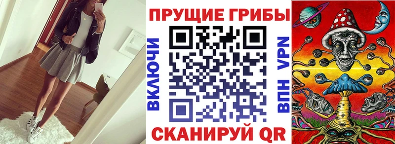 Псилоцибиновые грибы Psilocybine cubensis  купить закладку  Боровичи 